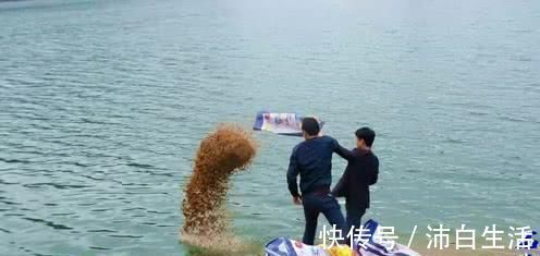 钓鱼的最佳时间是什么时候多年经验的钓手告诉你