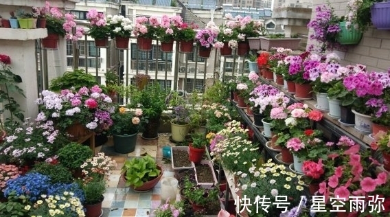 废物肥|用这2样“废物肥”养花,家人再不嫌弃我败家了