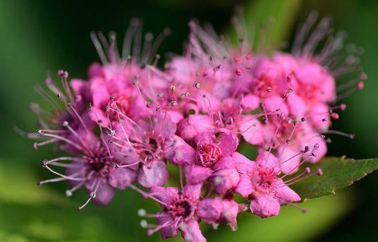 农历6月30多少年一次