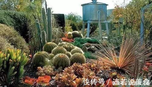 郁金香|7个绝美花园,个个美炸了天,等有钱了我也要建一个