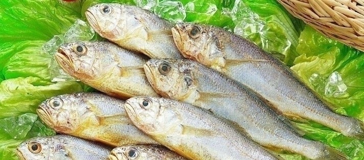 好吃又便宜的5种海鱼,老板说:买这5种鱼的基本上都是懂鱼的行家