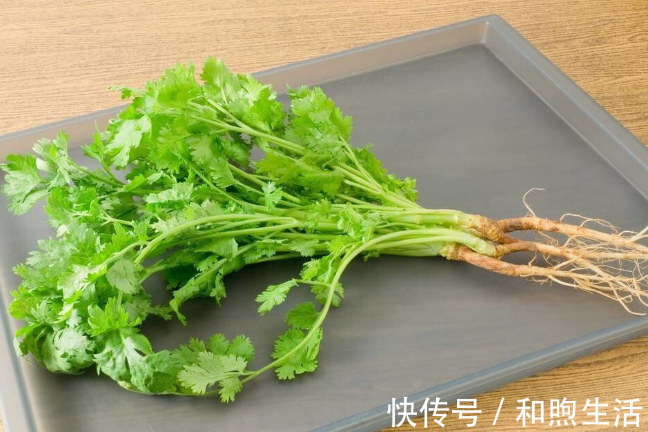 香菜|把香菜放到盒子里，存1年都不会坏，新鲜又翠绿，还能随吃随拿