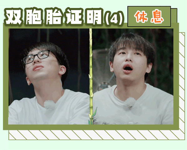 什么是明星们的“真面目”?看看《向往的生活》就知道了