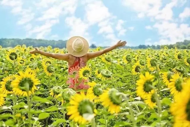 警告|研究癌症60年警告:不想惹上癌,这4样东西尽量别碰