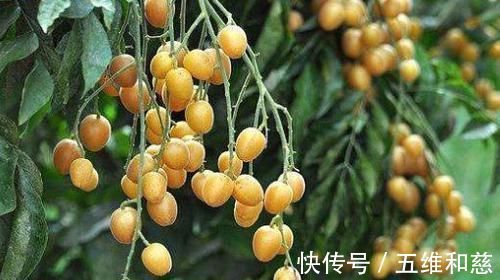 食物|会吃的人才健康，3种食物多吃点，排毒养颜，滋养身心，越吃越好