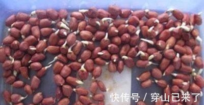 专家|发芽的大蒜不能吃?专家:3种食物发芽后,吃了对人体更好