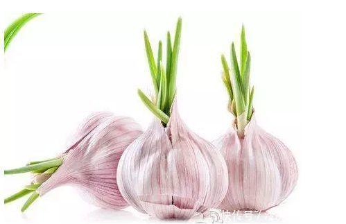 此种大蒜最好别买,看看家里有这种大蒜吗有的话尽快扔掉