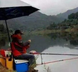 适合一年四季钓鲫鱼的实用小技巧,一般人不告诉他