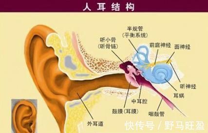 八段锦|床上八段锦,睡觉前做一做,精力旺盛,百病不生!
