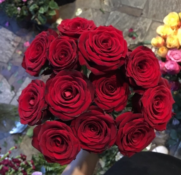 “精品玫瑰”甜蜜，似糖果般甜蜜，含苞待放，可以说是养花必备