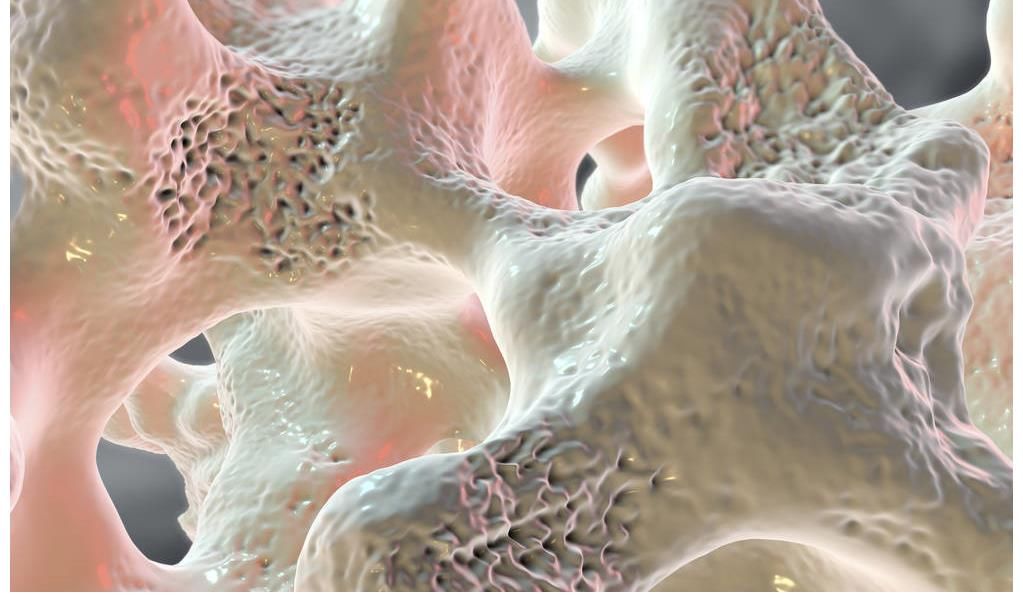 骨骼|80岁老中医:每天吃1物,坚持两月,腰不疼了,骨密度也涨了