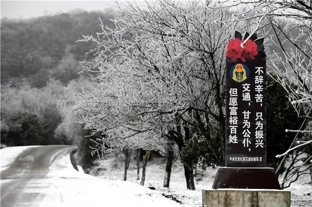 仙境|百里杜鹃，一下雪就美成仙境~