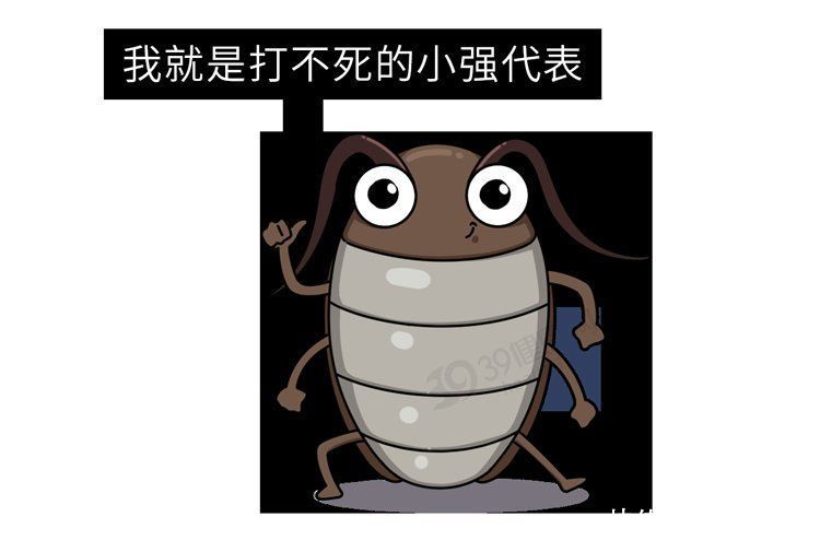 白族|中国专家从蟑螂中找到治病良方！修复能力强，能促进口腔溃疡愈合