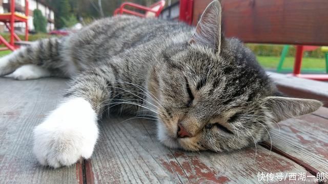 这些事|睡前少做这些事，延年益寿有好处，蜜拓蜜小暑保养建议分享。