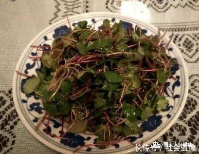 假装|中国有几千万人每天假装养生,其实越养越病