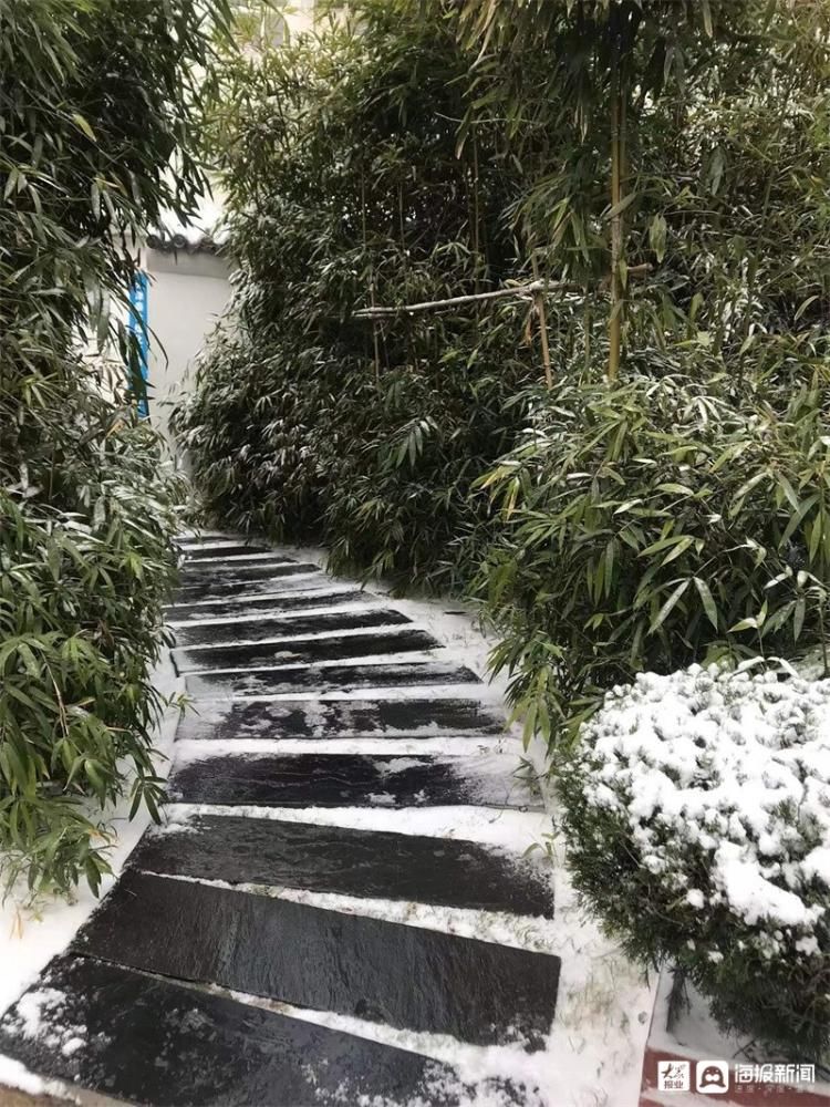 孙永莲|一场雪让潍坊美成了这样