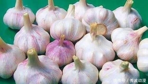 大蒜保存原来这么简单,放1年不发芽不干瘪,再也不怕大蒜长芽了