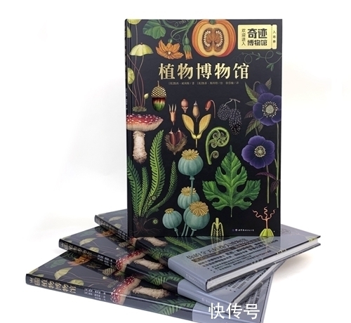 小主人&童书·新书|10岁开始的经济学