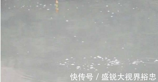 垂钓|钓鱼时遇到这个“脏东西”,别错过,用来打窝很不错