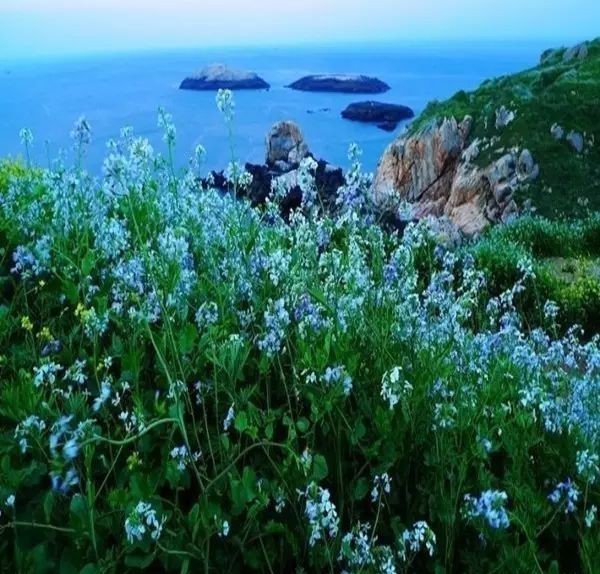 曾国藩诗10首：倚天照海花无数，流水高山心自知