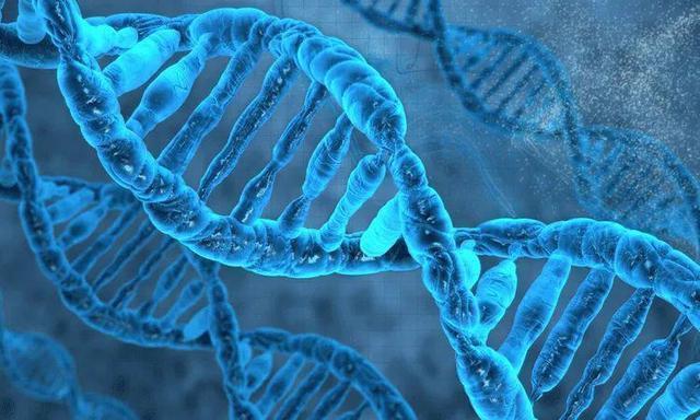 慢性炎症|全球1/6癌症由它引发!国际癌症研究所:2大慢性炎症要及早治