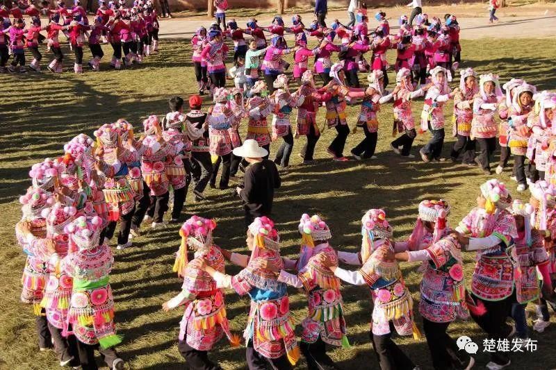  经典|武定彝绣：绽放在布匹上的经典