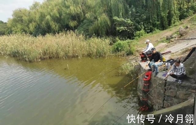 钓鲫鱼却总遇到鲤鱼？春季野钓这样搭配线组，才能大小兼收