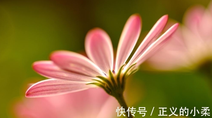 天理|善恶，只在一念间