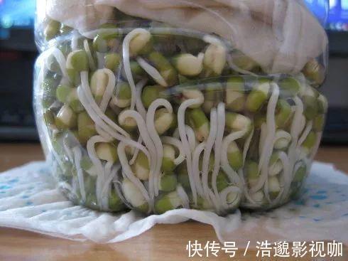 瓶子|想吃豆芽1个“雪碧瓶”就能做，只要花个豆子钱，7天冒出一桶