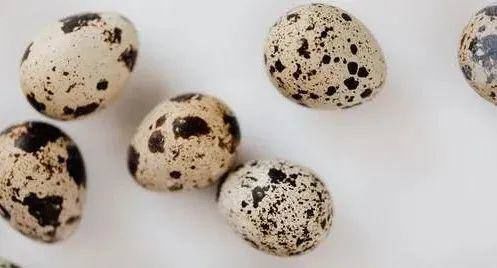  就可以|孩子吃鹌鹑蛋比吃鸡蛋好？千万警惕这点！