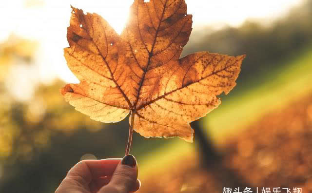 真爱|16天后,长梦已醒,真爱重现,期盼重来,财运找上门,永不分离