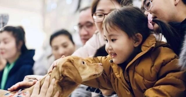 网红|老汉21年生下15个孩子,75岁成网红,如今一家人生活怎么样