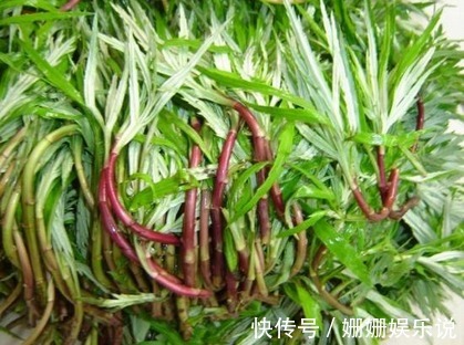 血管神經性水腫|此野菜食用價值和藥用價值很高，秋季吃可解酒護肝、祛風散寒