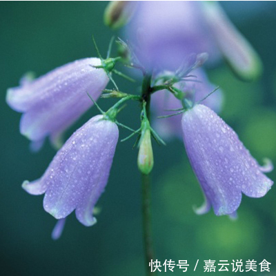 气质|长相一般，但气质迷人还十分有内涵，越看越好看的三个生肖女