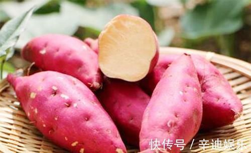 便秘|为何红薯是“长寿果”?坚持吃1个月,4大好处根本“藏不住”