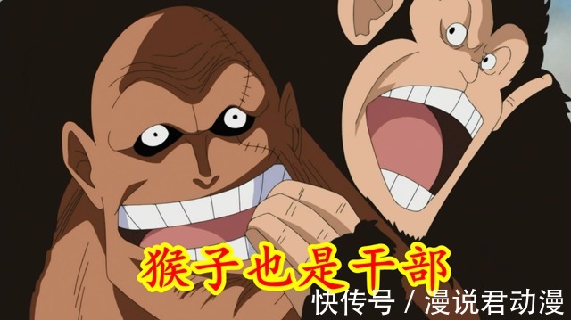 红发海贼团|海贼王最新情报:红发团干部确认,全员名字公布,猴子也是干部