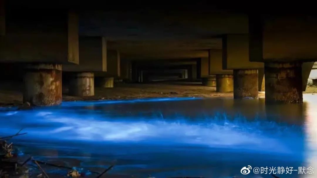 海峡导报|突发！厦门海沧湾公园人人人人人