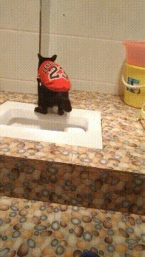|搞笑GIF:妹子,难道你们这男厕所和女厕所不在一起?