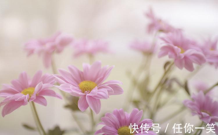 六十四卦#《易经》推天道明人事,中国哲学精华,卦名和卦序已见端倪