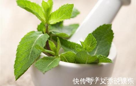牙疼|爷爷每日用薄荷叶熬水喝，坚持15天后，牙齿发生了这样的变化