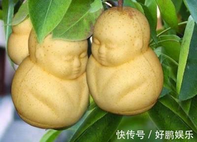 养血|立冬后，不妨常食此果，保护肝脏，养血养颜促消化，大肚子变平了