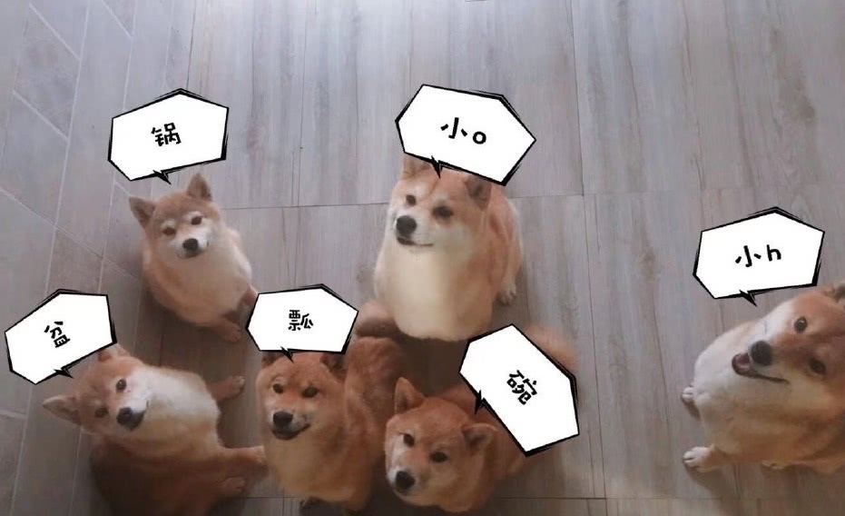 何炅|《向往的生活》路透，何炅黄磊彭昱畅进村，四位“新成员”引瞩目