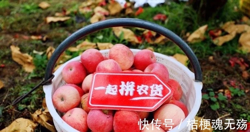 q3|100亿重仓农业,拼多多的逻辑变了