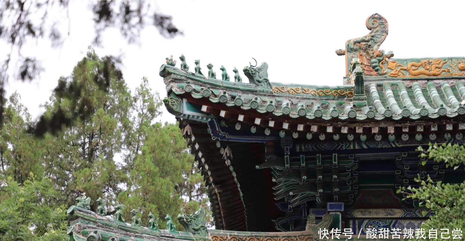 她是女帝王,深信佛法,助佛法进入宏盛时期!
