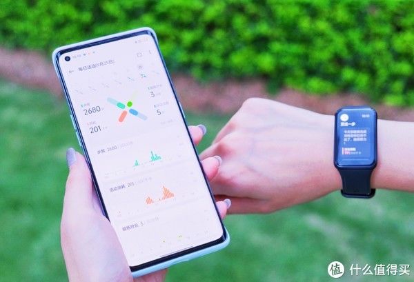 mole|比你自己更懂你 OPPO Watch Free智能手表体验