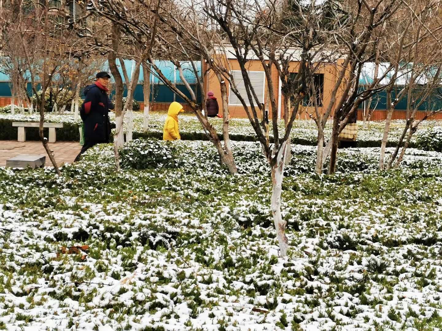 老年|泉城喜降春雪，银装素裹，分外妖娆