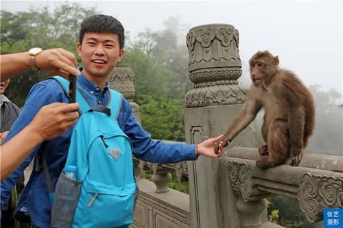 峨眉山上有一群猴，天不怕地不怕的山大王，常年横行霸道欺负游客