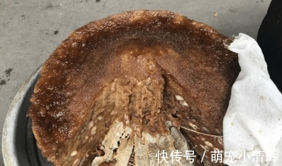 糯米粉|每次回老家赶集，就爱买这些土气小吃，妈妈总说我没出息