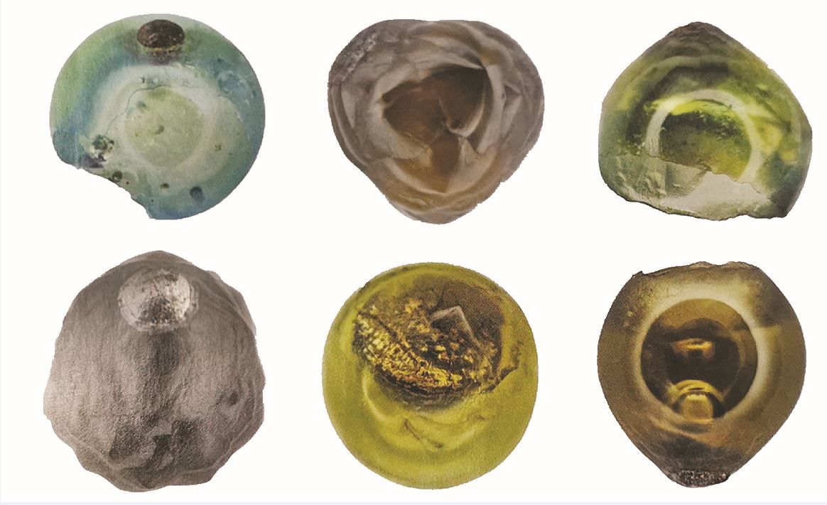 每天100吨！你家屋顶上也可能有！快来“狩猎”来自太空的美丽星尘