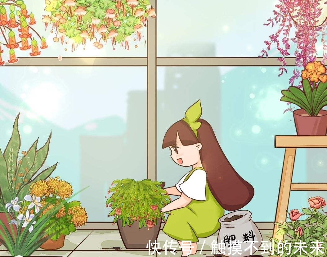 养花用磷酸二氢钾,不知道这些,花草越长越差!